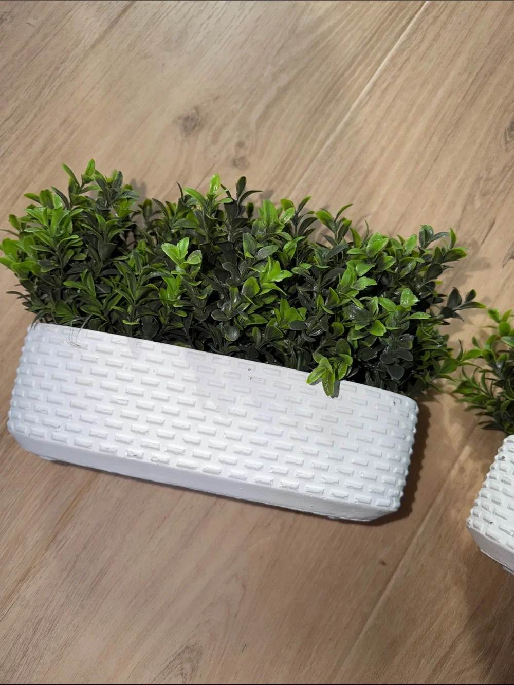 Modern Home 2 White Woven Planter with Lush Green Faux Boxwood